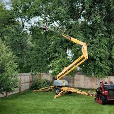 Best Tree Removal Services  in Shadow Lake, WA